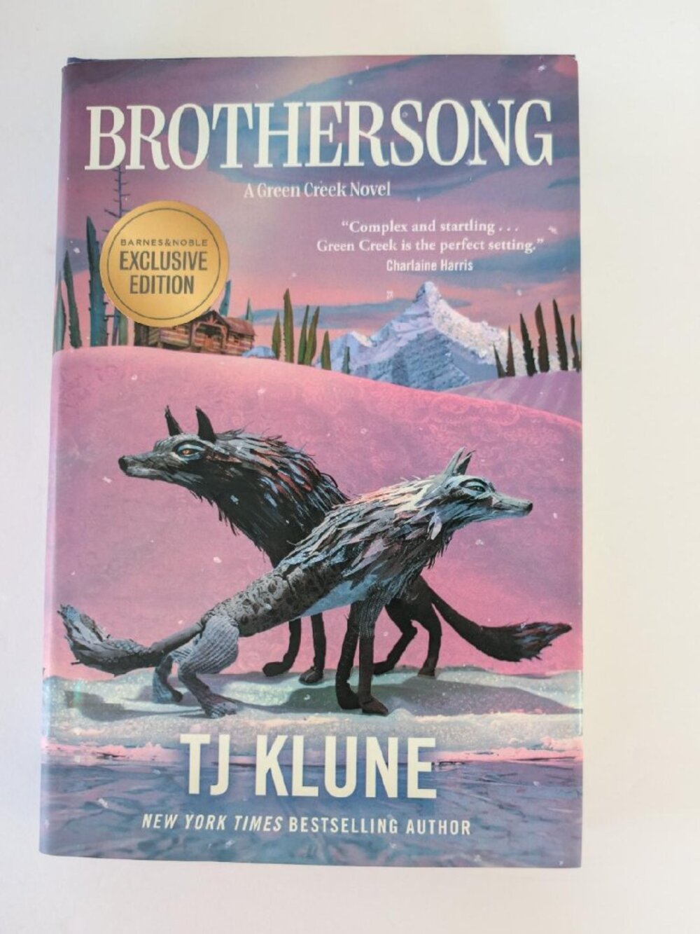 BROTHERSONG Exclusive Barnes & Noble Edition Hardback, Excellent Edition